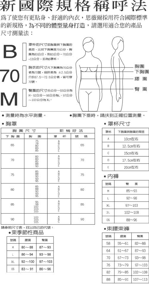 【思薇爾】柔塑曲線系列B-G罩蕾絲包覆內衣(倫敦灰)