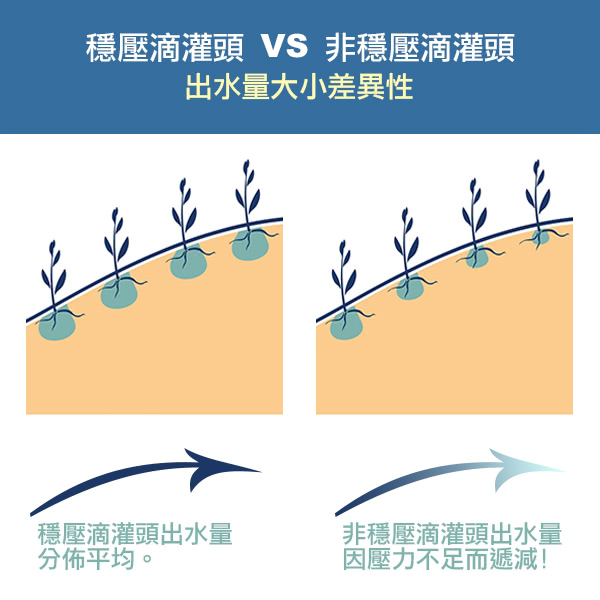 【灑水達人】澳洲Antelco穩壓2分滴劍每小時4公升10個(黑)