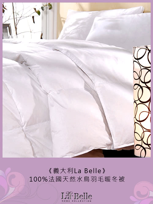 【義大利La Belle】法國天然水鳥羽毛絨暖冬被(特大)