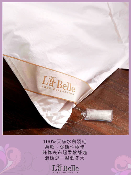 【義大利La Belle】法國天然水鳥羽毛絨暖冬被(特大)