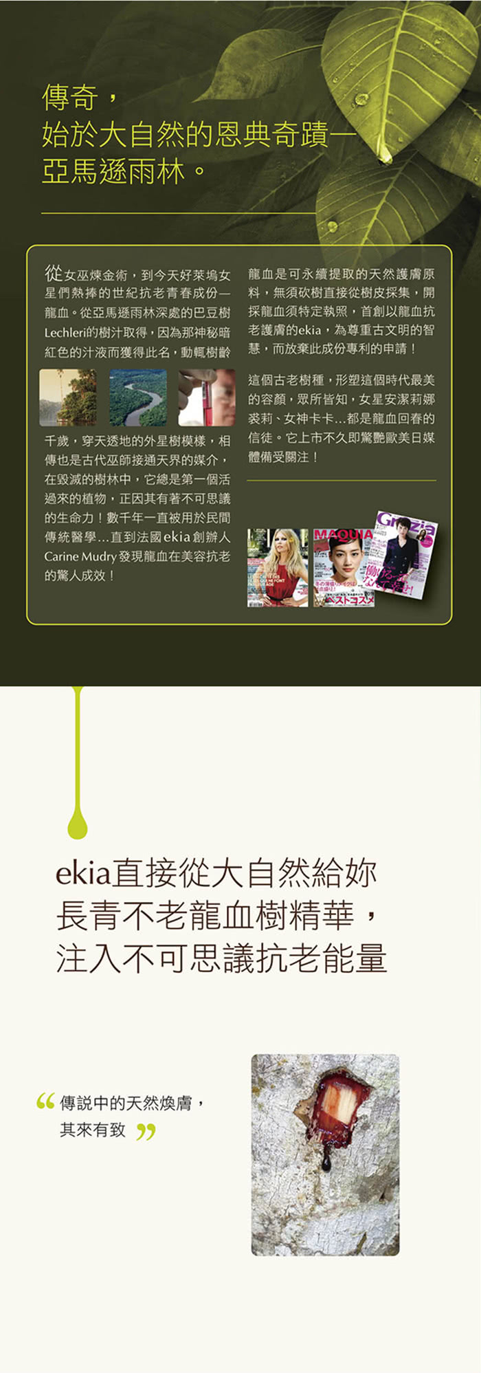 【法國ekia】龍血特效 全方位抗老眼霜15ml