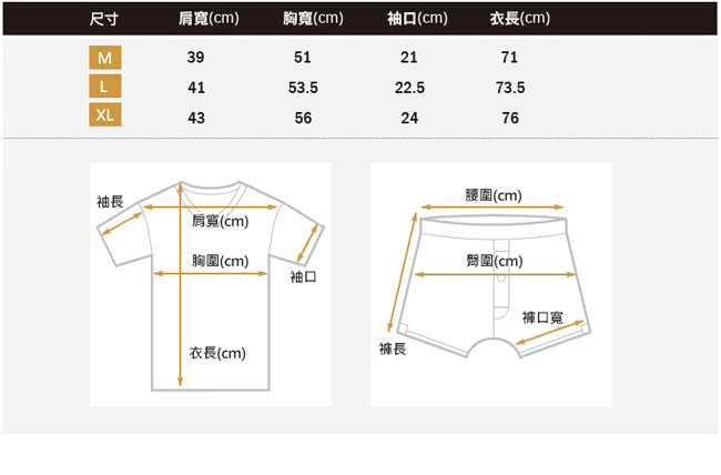 【BVD】時尚型男純棉圓領短袖內衣(5件組)