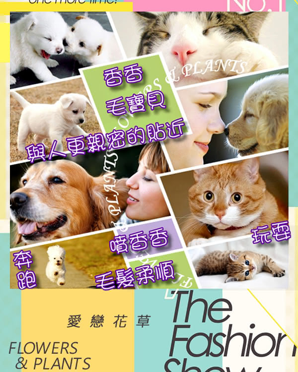 【愛戀花草】茉莉花精油 絲滑柔順寵物順毛香水(100MLx12瓶) 【愛戀花草】茉莉花精油 絲滑柔順寵物順毛香水(100MLx12瓶)