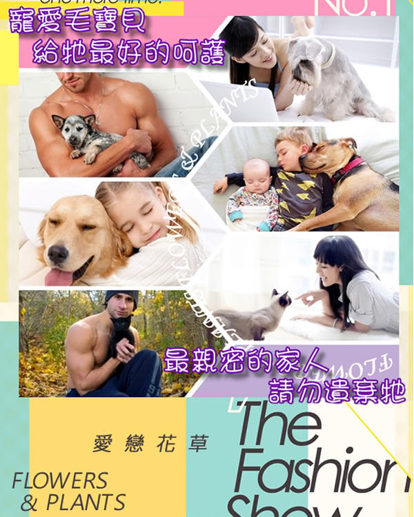 【愛戀花草】茉莉花精油 絲滑柔順寵物順毛香水(100MLx12瓶) 【愛戀花草】茉莉花精油 絲滑柔順寵物順毛香水(100MLx12瓶)