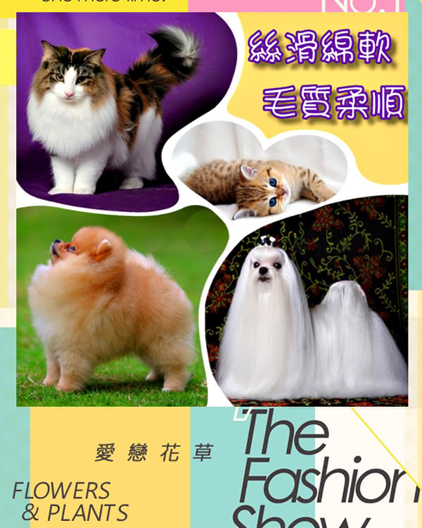 【愛戀花草】茉莉花精油 絲滑柔順寵物順毛香水(100MLx12瓶) 【愛戀花草】茉莉花精油 絲滑柔順寵物順毛香水(100MLx12瓶)