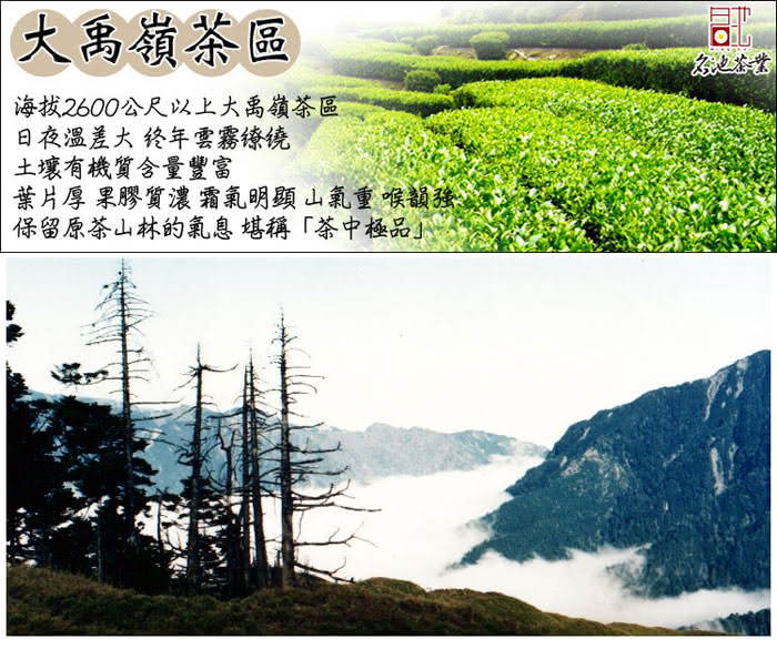 【名池茶業】大禹嶺高山茶手採茶葉禮盒 茶美學款(150公克x2)