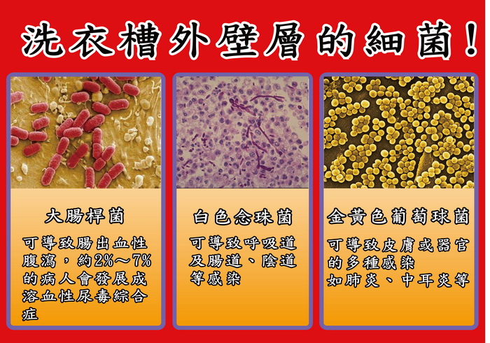 【衣桔棒】液態洗衣槽除菌劑600mlx4入(制菌率99.9%)