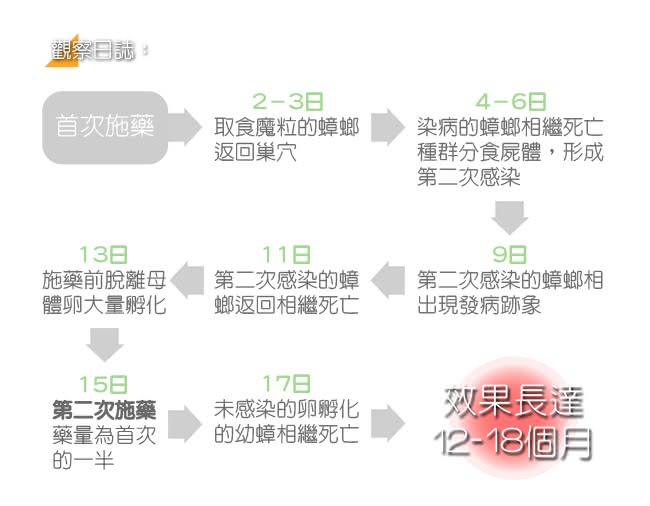 【房裡無蟑】好神奇 殺蟑魔粒 蟑螂藥(15克 1入)