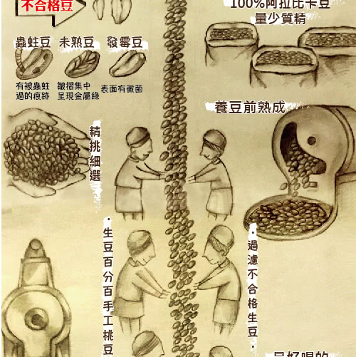 【LODOJA裸豆家】極品義式濾掛咖啡情人禮盒(25入)