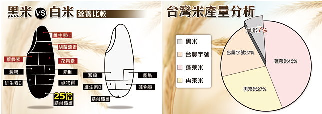 【名優】TVBS推薦濁水溪養生黑米1包(嚐鮮包)