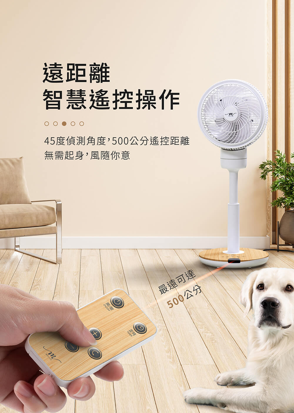 MOLIJIA魔力家 BY010086 - 詳情10