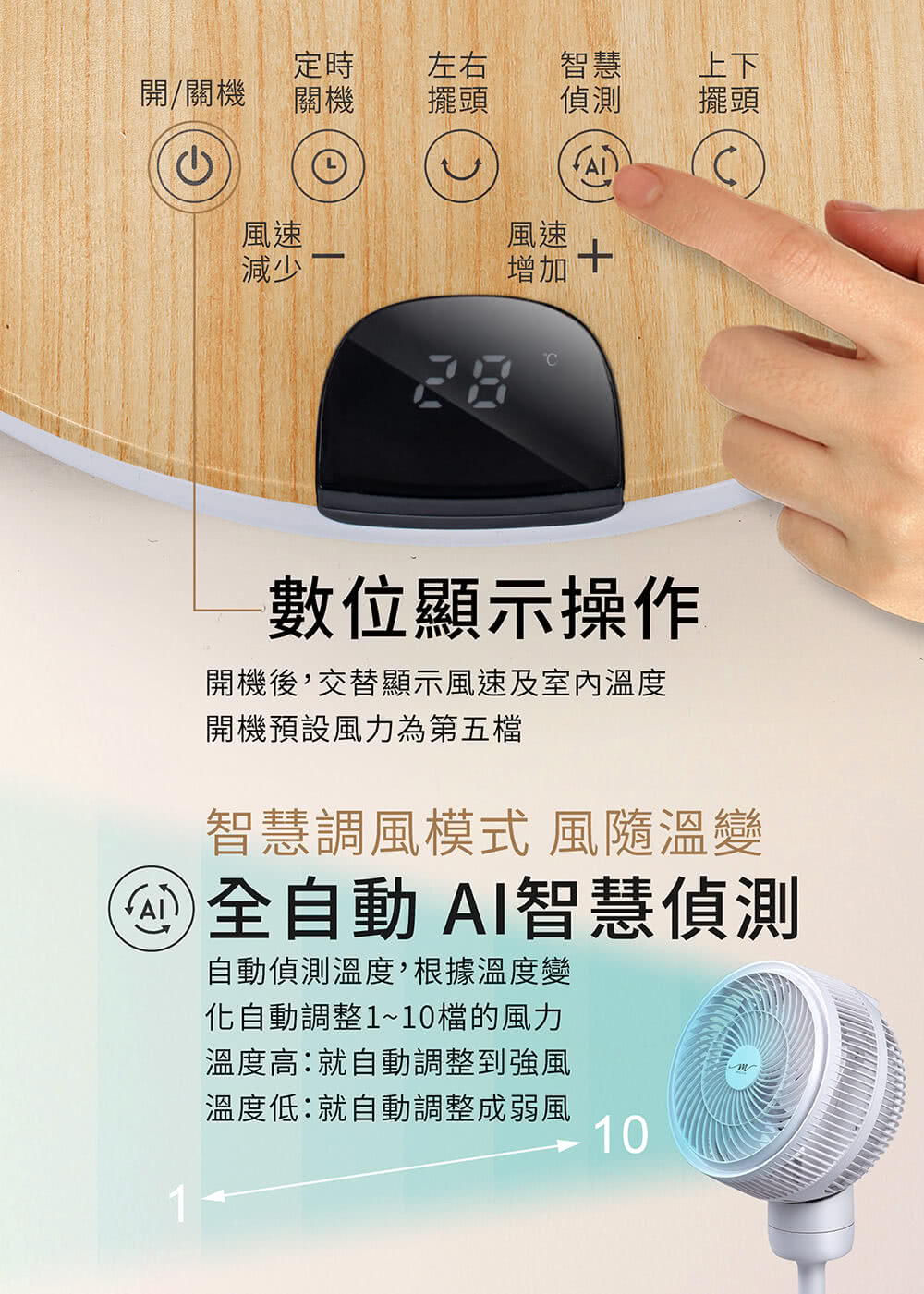 MOLIJIA魔力家 BY010086 - 詳情11