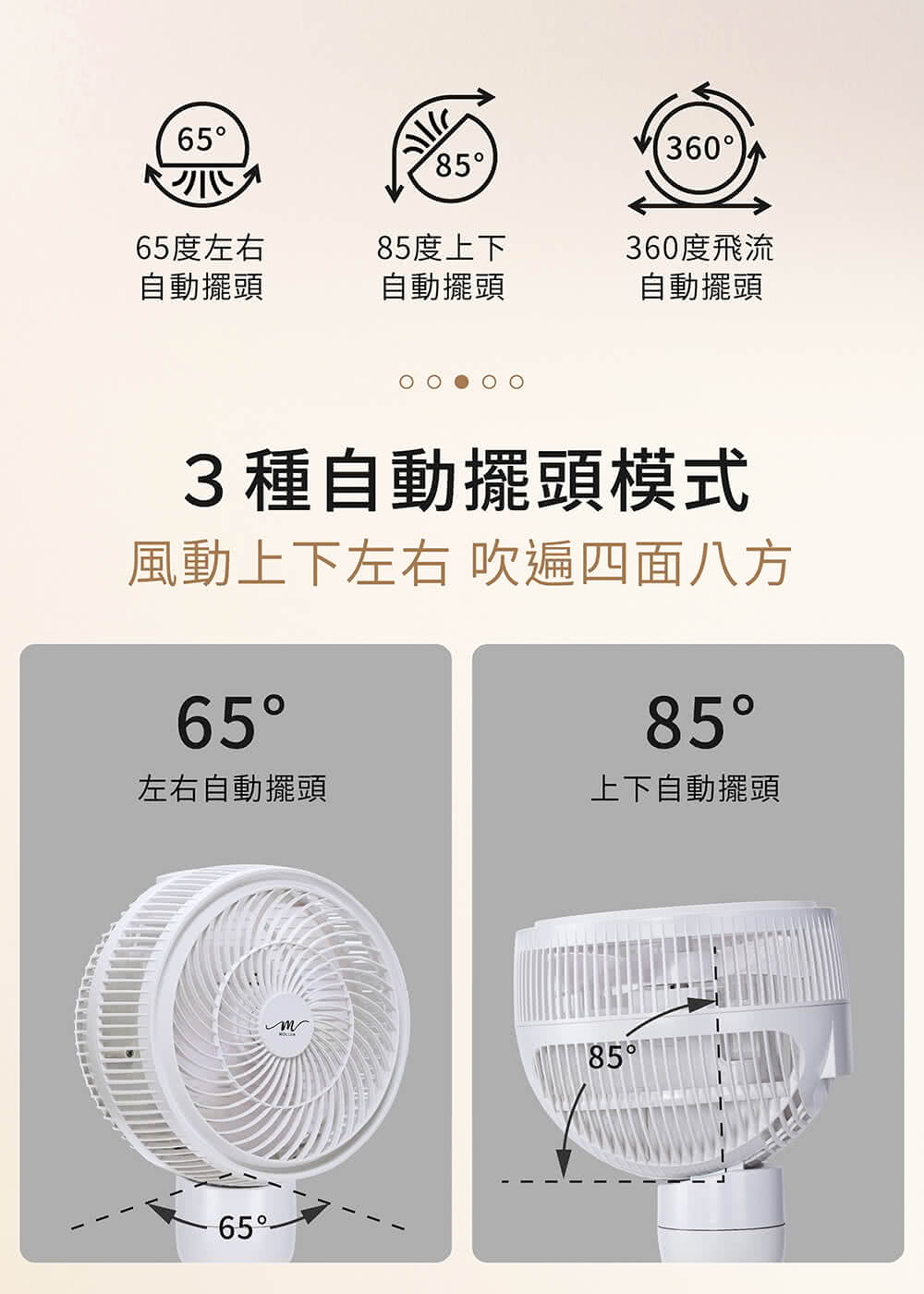 MOLIJIA魔力家 BY010086 - 詳情12