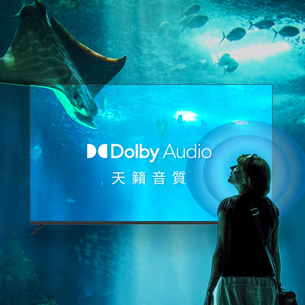 DigiKing數位新貴 DK-Q50KN2411 - 詳情12