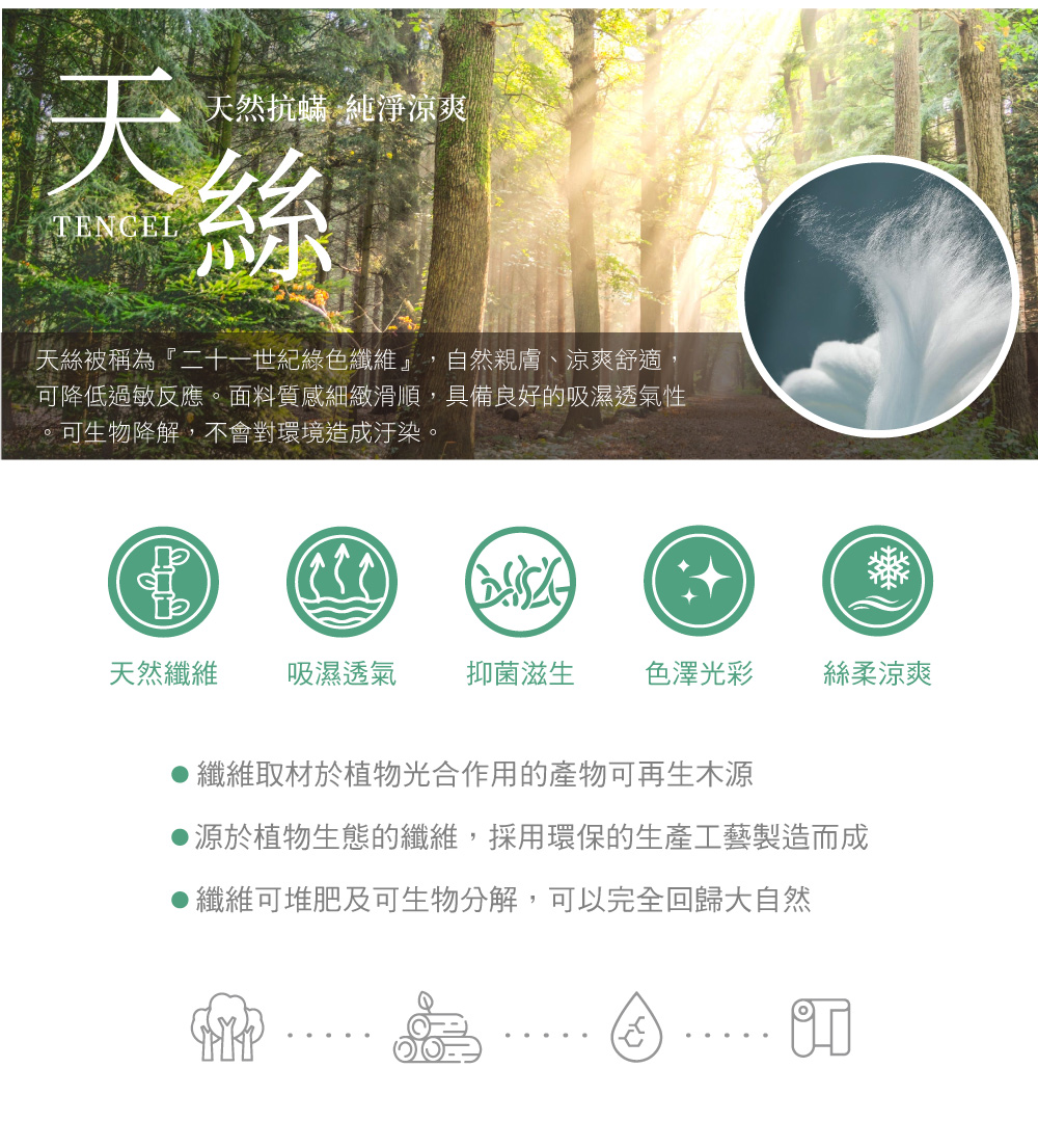Abelia 《蔓羽佳人》天絲木漿兩用被床包組(加大)折扣推 Abelia 《蔓羽佳人》天絲木漿兩用被床包組(加大)折扣推