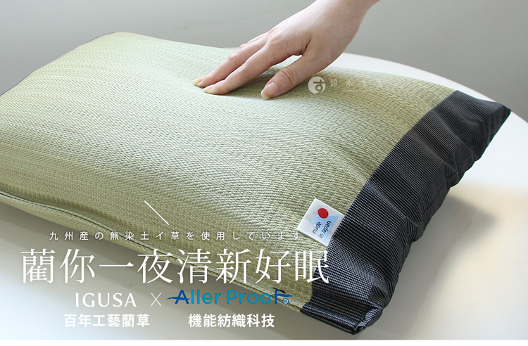IKEHIKO 藺草消臭抗敏機能枕(鈴木太太公司貨)評價推薦 IKEHIKO 藺草消臭抗敏機能枕(鈴木太太公司貨)評價推薦