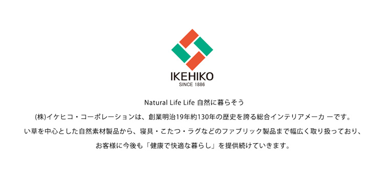IKEHIKO 藺草消臭抗敏機能枕(鈴木太太公司貨)評價推薦 IKEHIKO 藺草消臭抗敏機能枕(鈴木太太公司貨)評價推薦
