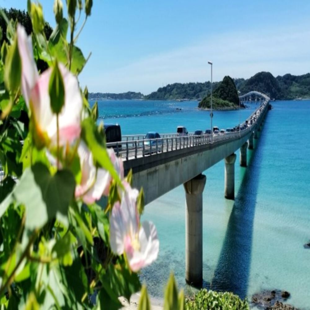 順怡旅遊 沖繩泰潮-歡樂四日《豪華版》(泰越捷航空)好評推薦 順怡旅遊 沖繩泰潮-歡樂四日《豪華版》(泰越捷航空)好評推薦