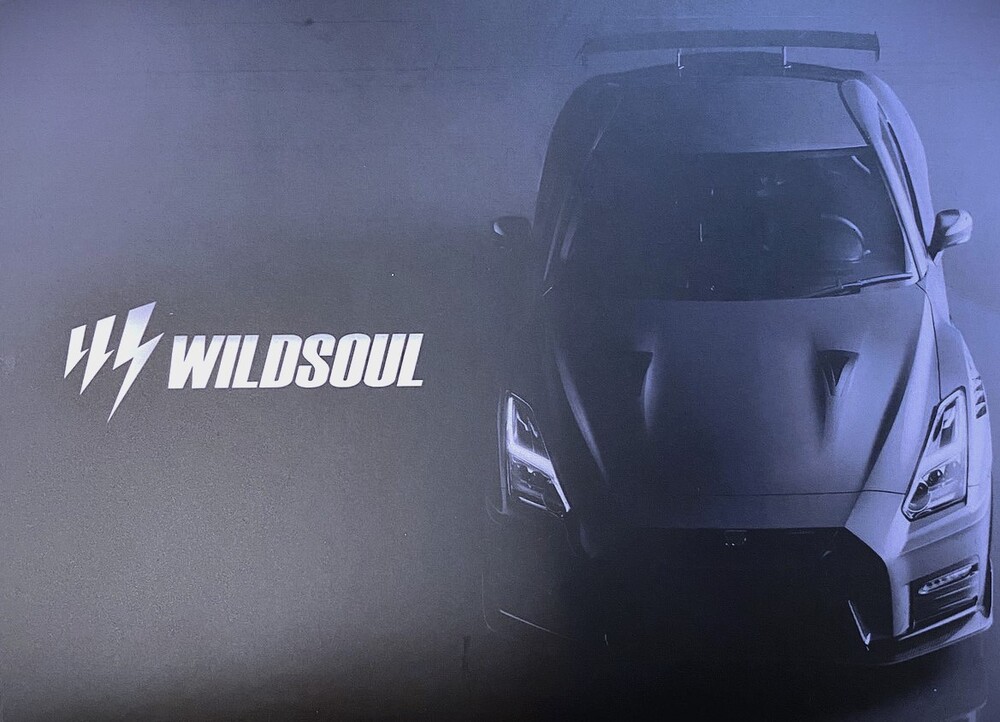 WILDSOUL 保時捷993 寬體改裝 浴室地墊/門口腳踏 WILDSOUL 保時捷993 寬體改裝 浴室地墊/門口腳踏