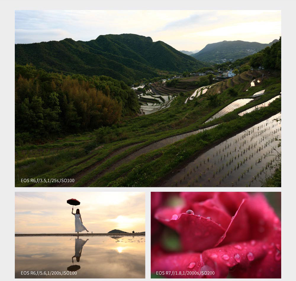 Canon佳能 RF 24mm F/1.8 MACRO IS STM - 詳情6