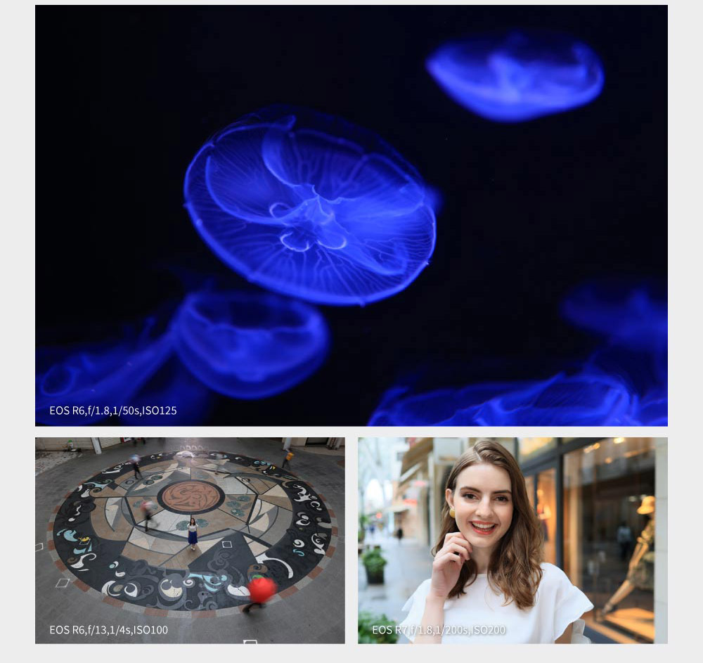 Canon佳能 RF 24mm F/1.8 MACRO IS STM - 詳情7