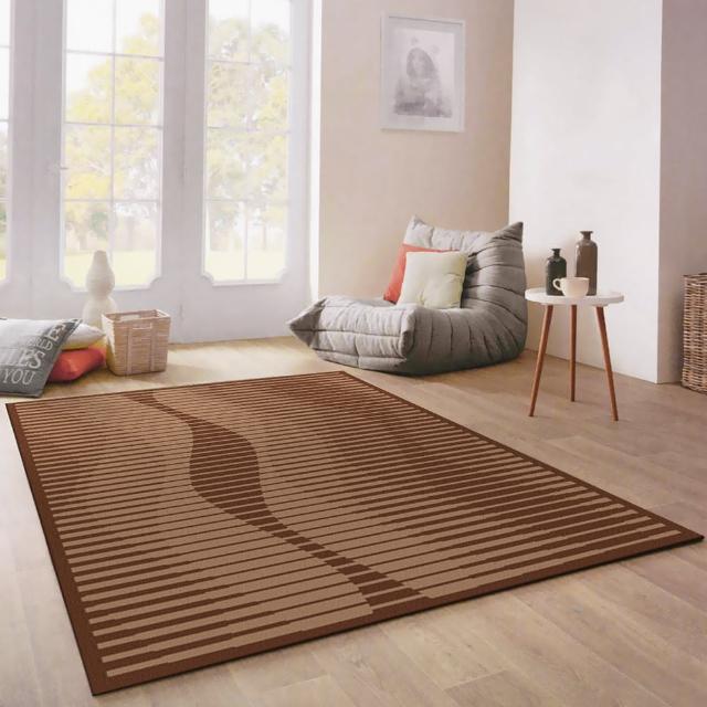 【范登伯格】西堤簡樸圈毛編織地毯(170x230cm)
