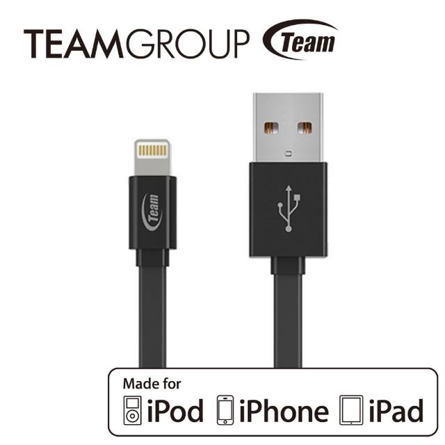 【TEAM十銓科技】Apple原廠認證充電-傳輸線 黑色(TWC08)