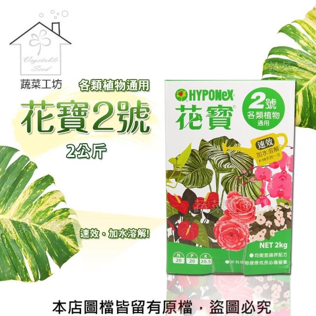 蔬菜工坊002 B04 花寶2號2公斤 Momo購物網