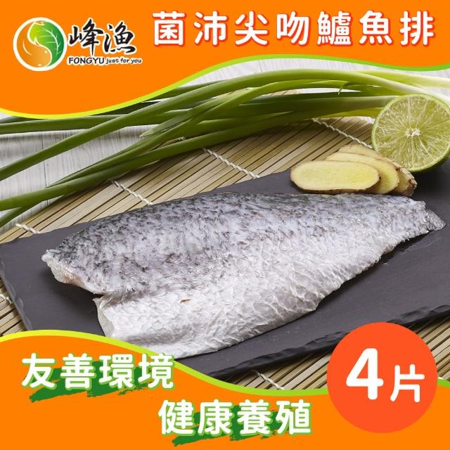 【峰漁安心水產】無毒 無刺 菌沛尖吻鱸魚排-4片組(產銷履歷金目鱸魚)