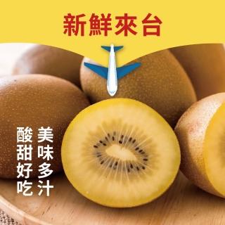 【水果達人】紐西蘭黃金奇異果11-13顆禮盒*1箱(黃金奇異果-水果禮盒)