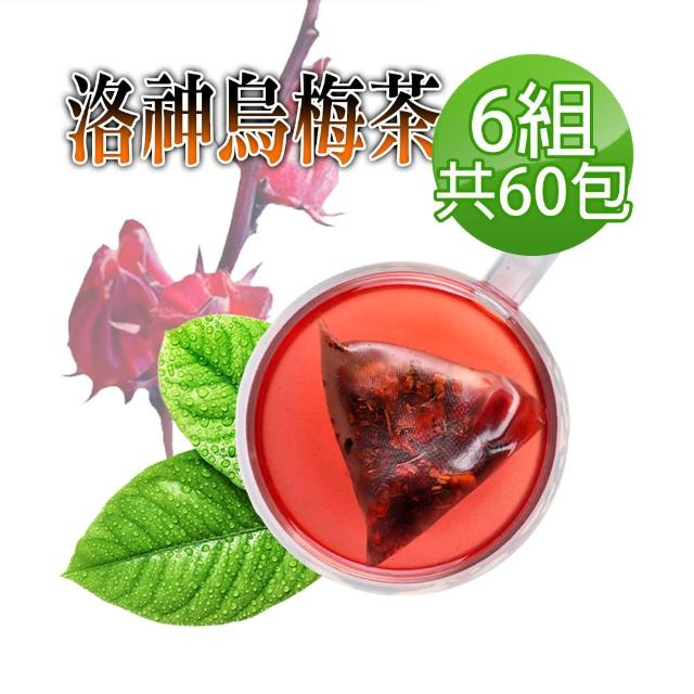 【蔘大王】洛神烏梅茶 油切美妍助消化（6gx10包/X6組）(冷熱兩用/輕盈靈活/逆轉人身)