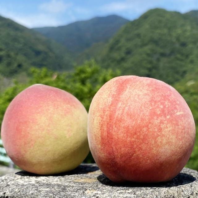  拉拉山水蜜桃
