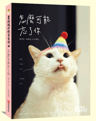 怎麼可能忘了你