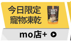 活動