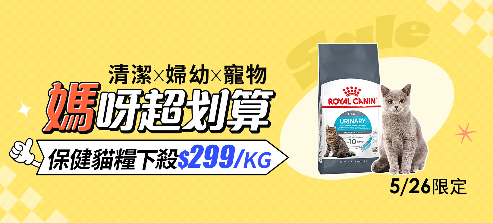 活動