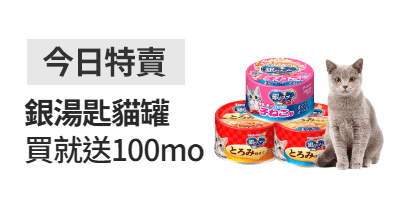 活動