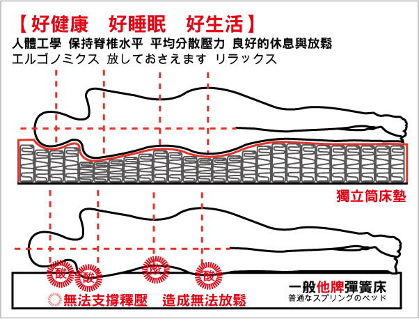 【睡芝寶 正三線乳膠 五星級飯店用 麵包型 蜂巢獨立筒床墊-厚26cm-單人3.5尺】