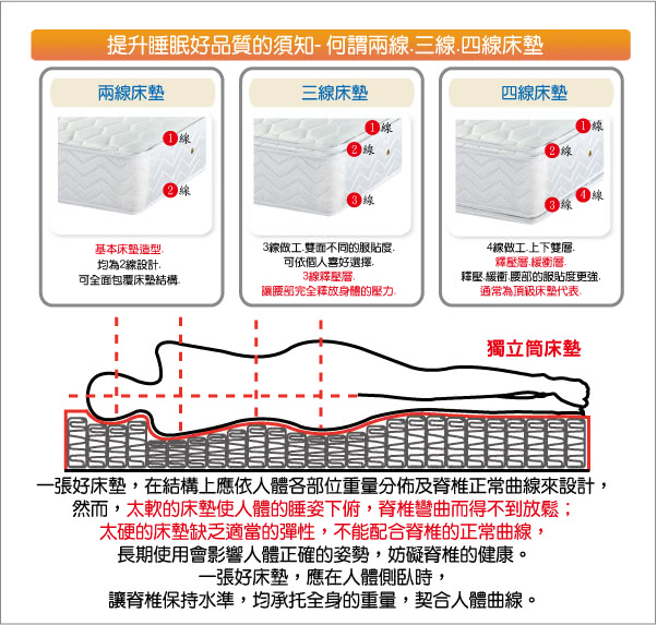 【睡芝寶 正三線乳膠 五星級飯店用 麵包型 蜂巢獨立筒床墊-厚26cm-單人3.5尺】