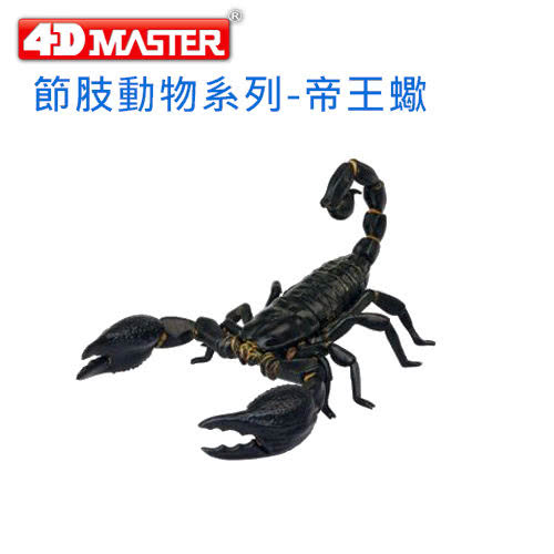 【4D MASTER】節肢動物系列-帝王蠍EMPEROR SCORPION