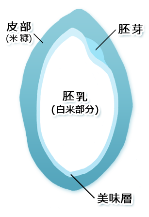 【日本俵屋】特A級 北海道夢美人 100%產地直送(2kg/包/日本原包裝)