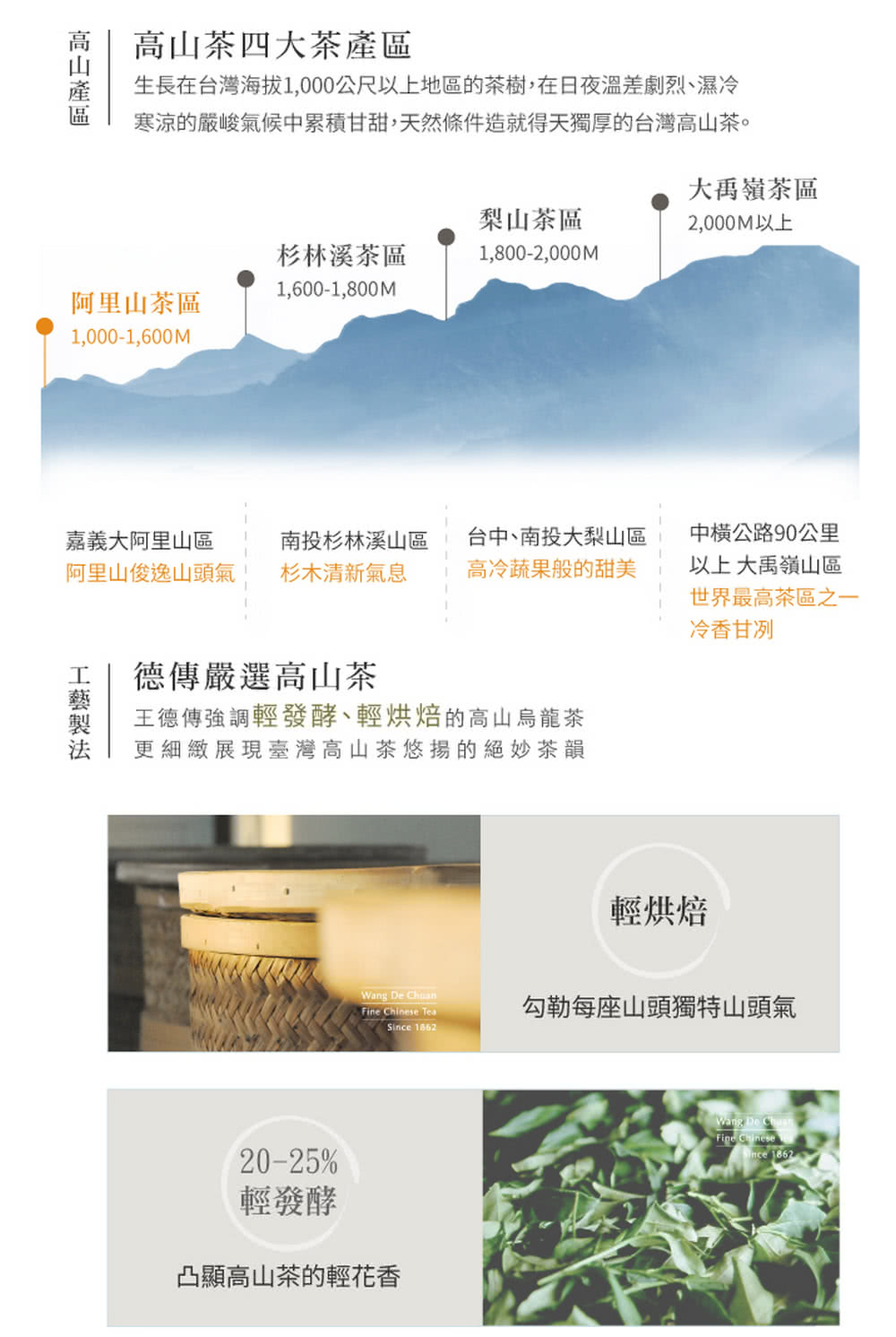 生長在台灣海拔1,000公尺以上地區的茶樹,在日夜溫差劇烈濕冷