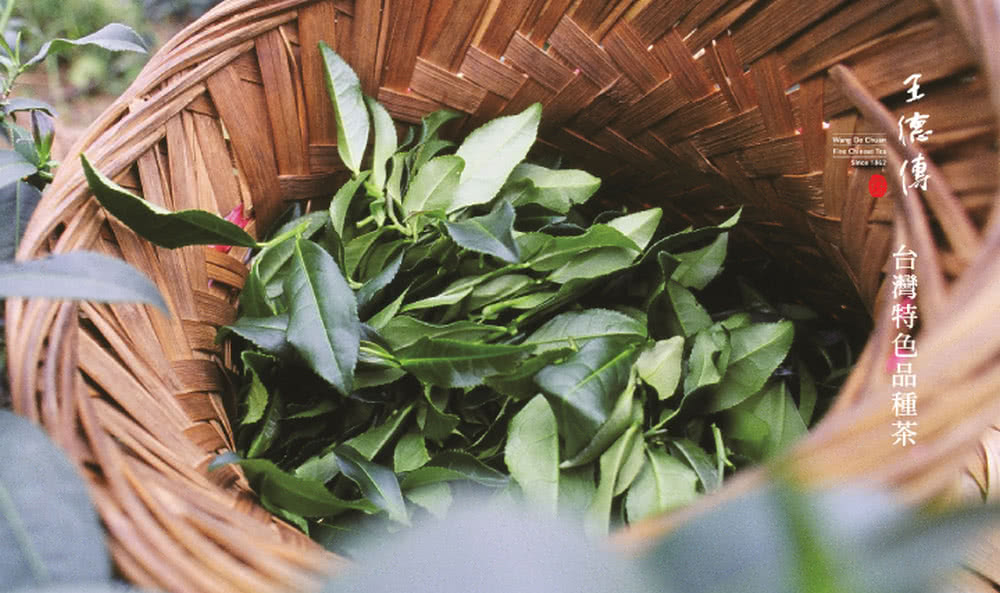 王德傳 台灣特色品種茶 