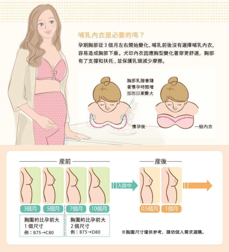 【日本犬印】機能型捧胸背心內衣 M/L 共2色