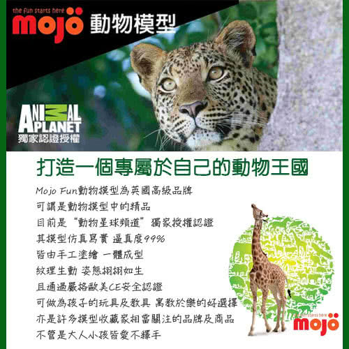 【MOJO FUN 動物模型】精裝禮盒-森林動物四件組 美洲(387318)