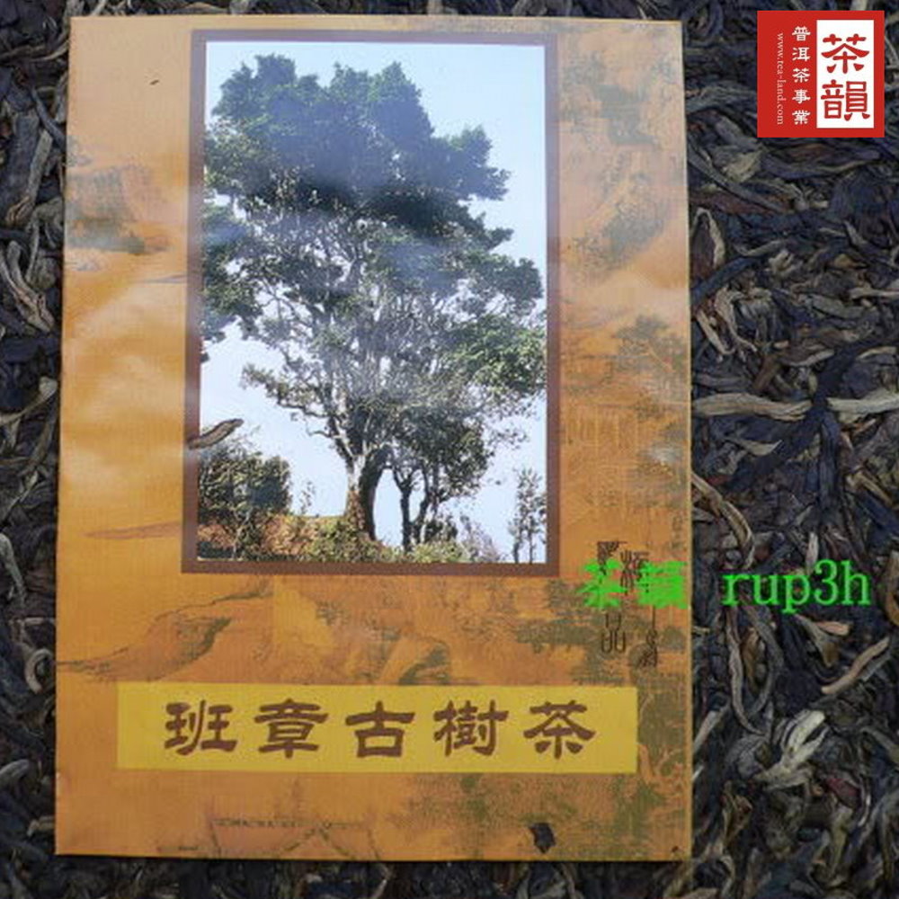 班章古樹茶 普洱茶事業 导之