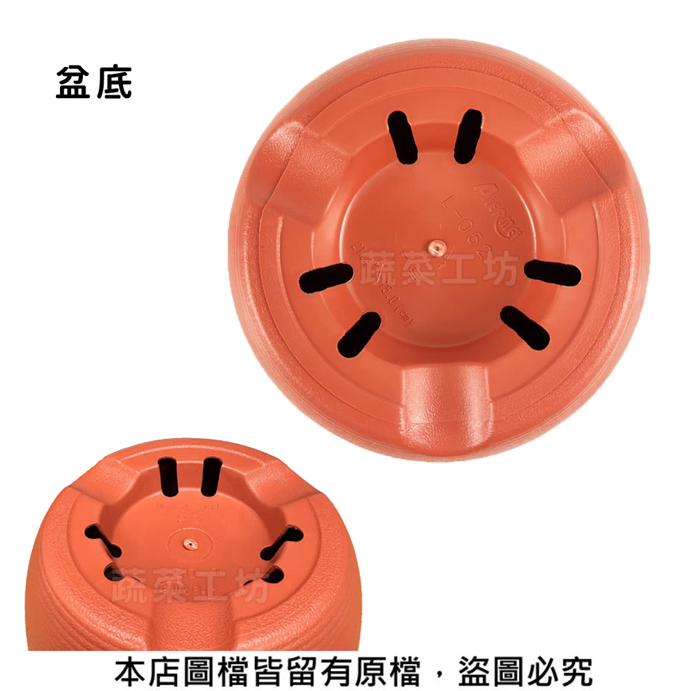 盆底 蔬菜工坊解 本店圖檔皆留有原檔,盜圖必究 