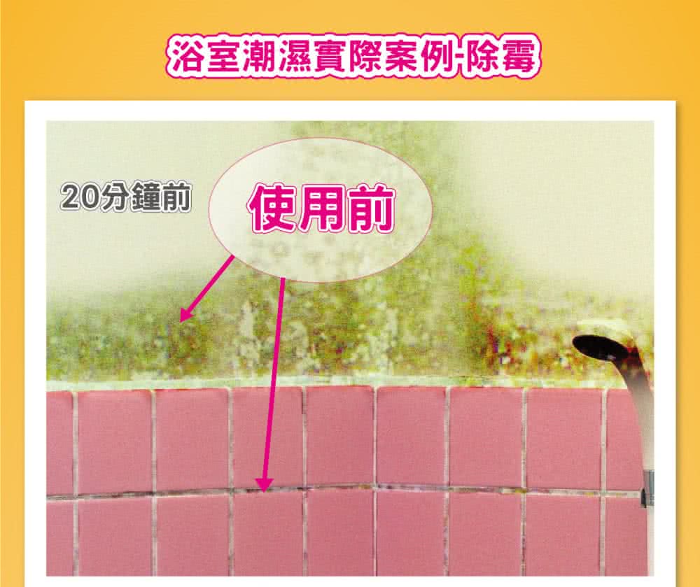 浴室潮濕實際案例除霉 20分鐘前 使用前 