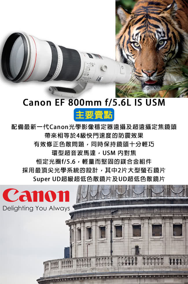 CANON-EF800-F56L-IS-USM-LENS.jpg