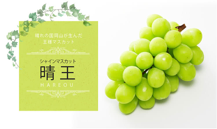 晴国岡山生 王様 晴王 