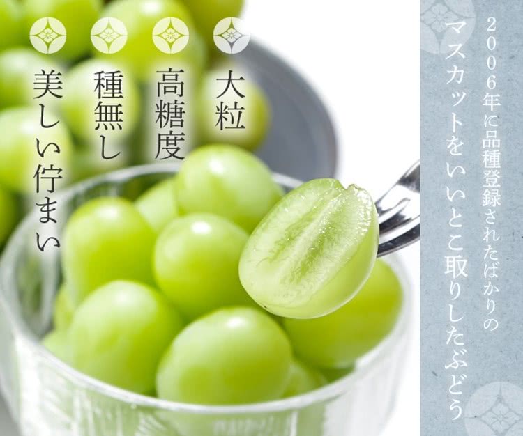 2006年品種登録 大粒 高糖度 種無 美佇 